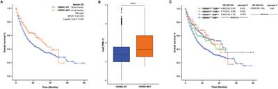 PBRM1 mutation as a predictive biomarker for immunotherapy in multiple cancers